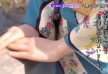 乃木坂浪漫 #007 生田絵梨花 伊藤左千夫 「野菊の墓」